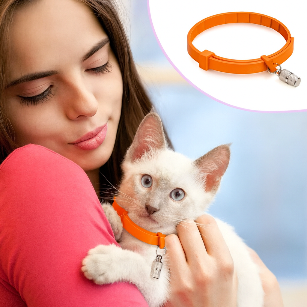 ChatGPT Image 7 oct 2025, 16_41_44