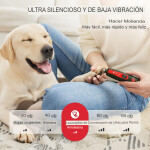 511bWyn5GdL._AC_SL1500_.jpg