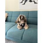 Conjunto-de-arn-s-y-correa-para-mascotas-peque-as-juego-de-accesorios-para-perros-peque-2-1.jpg