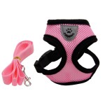Conjunto-de-arn-s-y-correa-para-mascotas-peque-as-juego-de-accesorios-para-perros-peque-2-1.jpg