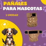 Post de Instagram Pet Shop Comida Perros Divertido Púrpura Amarillo (20)