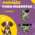 Post de Instagram Pet Shop Comida Perros Divertido Púrpura Amarillo (22)