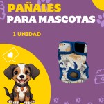 Post de Instagram Pet Shop Comida Perros Divertido Púrpura Amarillo (24)