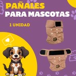 Post de Instagram Pet Shop Comida Perros Divertido Púrpura Amarillo (25)