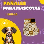 Post de Instagram Pet Shop Comida Perros Divertido Púrpura Amarillo (28)