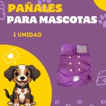 Post de Instagram Pet Shop Comida Perros Divertido Púrpura Amarillo (31)