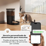 Agregar un título – 2025-04-30T164738.696