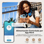Agregar un título – 2025-04-30T164738.696