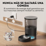 Agregar un título – 2025-04-30T164738.696