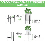 Diseño sin título (73)