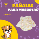 Post de Instagram Pet Shop Comida Perros Divertido Púrpura Amarillo