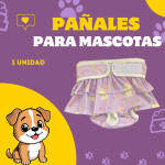 Post de Instagram Pet Shop Comida Perros Divertido Púrpura Amarillo (2)