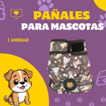 Post de Instagram Pet Shop Comida Perros Divertido Púrpura Amarillo (4)
