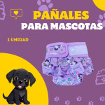 Post de Instagram Pet Shop Comida Perros Divertido Púrpura Amarillo (1)