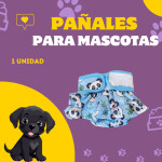 Post de Instagram Pet Shop Comida Perros Divertido Púrpura Amarillo (2)
