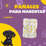 Post de Instagram Pet Shop Comida Perros Divertido Púrpura Amarillo (3)