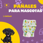Post de Instagram Pet Shop Comida Perros Divertido Púrpura Amarillo (4)