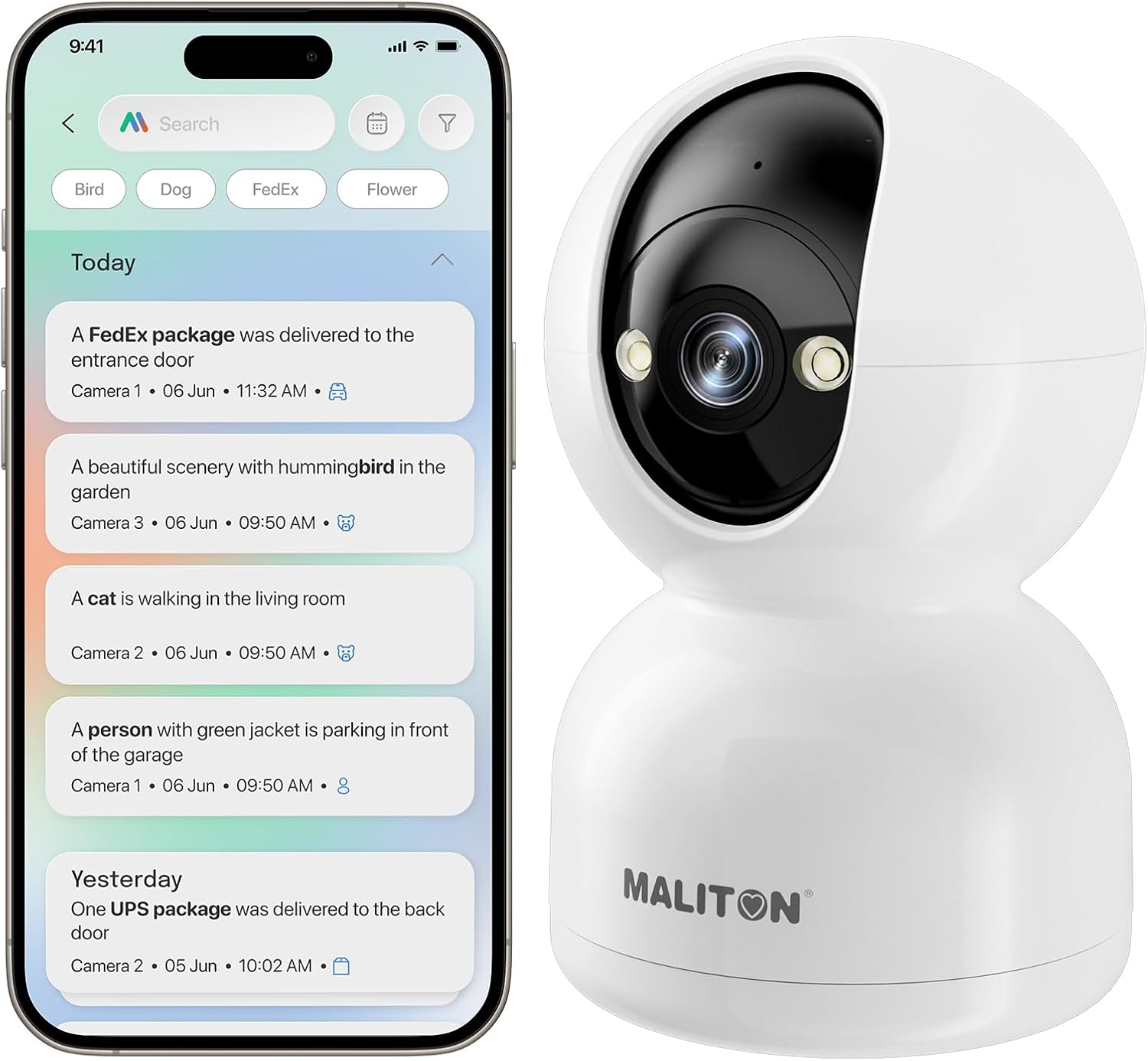 71F6k3d8BNL._AC_SL1500_ (1)