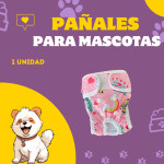 Post de Instagram Pet Shop Comida Perros Divertido Púrpura Amarillo (10)