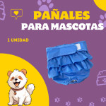 Post de Instagram Pet Shop Comida Perros Divertido Púrpura Amarillo (12)