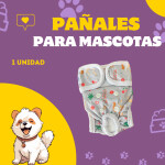 Post de Instagram Pet Shop Comida Perros Divertido Púrpura Amarillo (9)